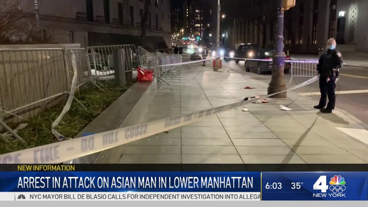 NYC JURY REJECTS INSANITY DEFENSE CONVICTS SUSPECT IN CHINATOWN visual data 6