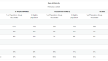 nys racial ethnic breakdown