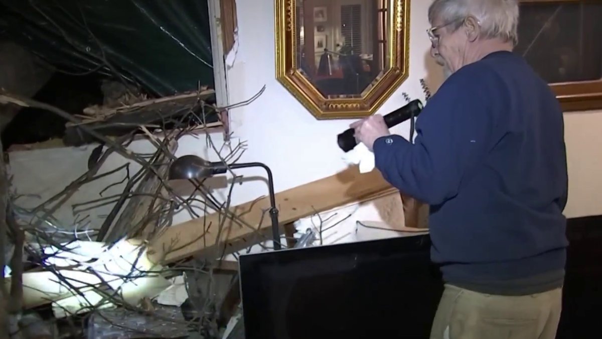 Tree Crashes Into New Jersey Family’s Living Room – NBC New York