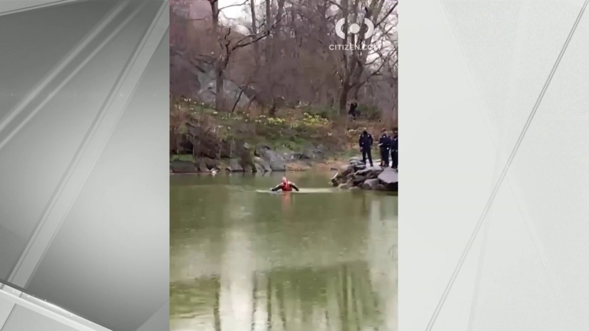 Man’s Body Found Floating in Pond in NYC’s Morningside Park – NBC New York