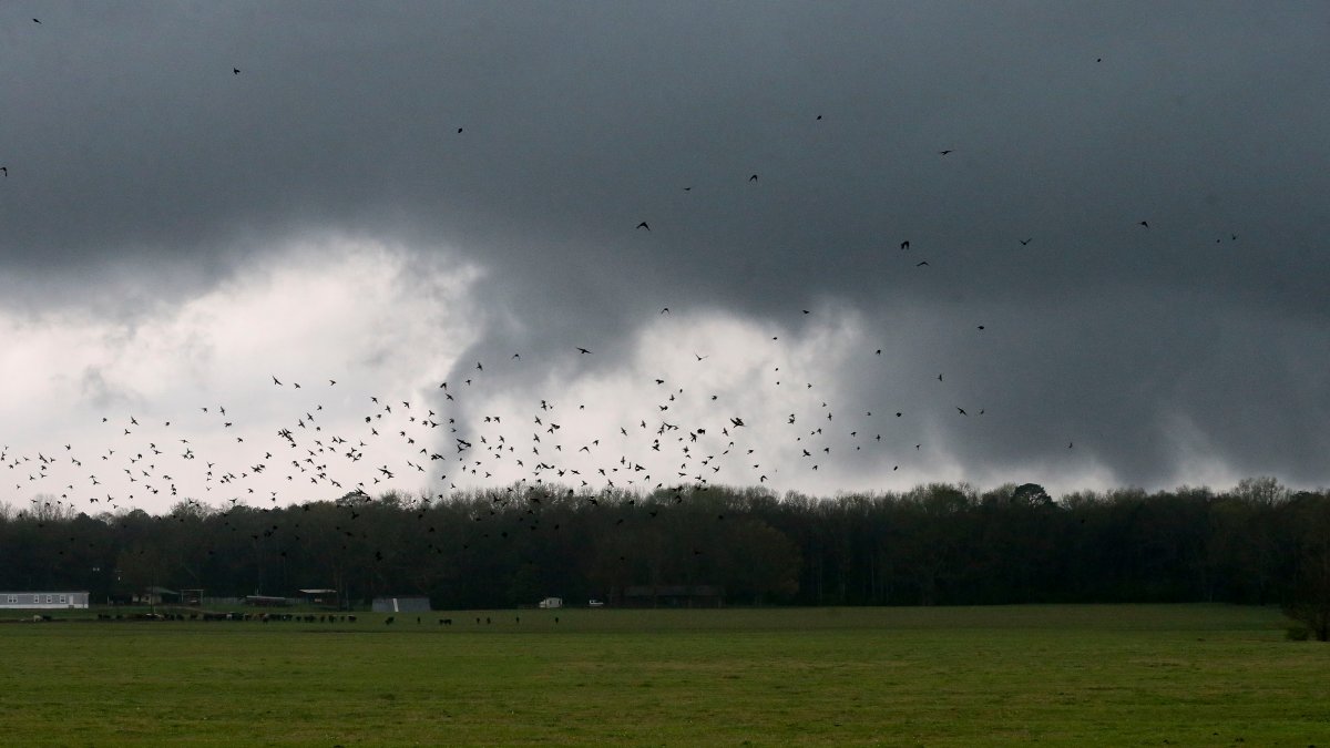 At Least 5 Dead After Tornadoes Sweep Through Alabama – NBC New York