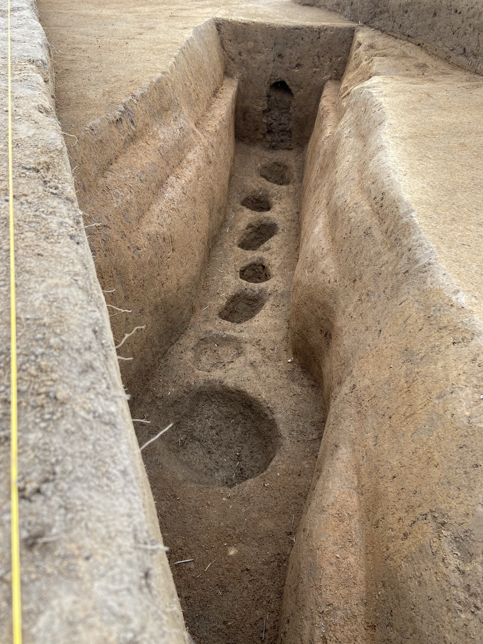 Excavation exposed that a section of the fort’s exterior walls were palisades or tall, sturdy wooden walls made by placing full or split timbers side-by-side in a deep trench.