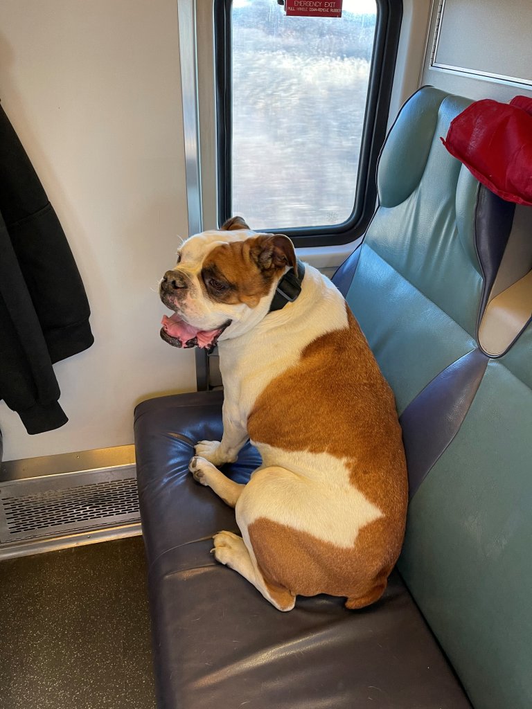 Sampson in train