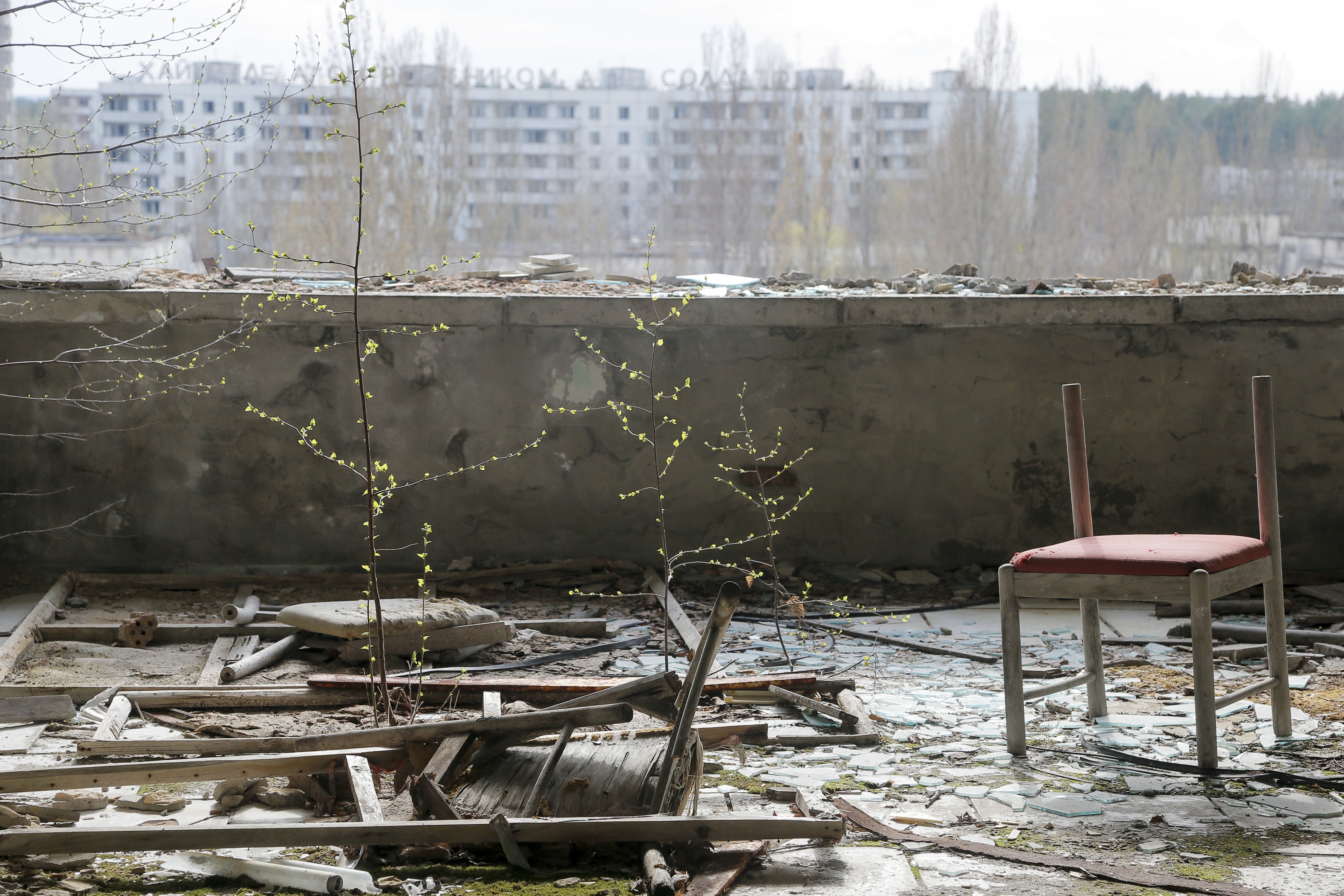 Small trees grow on a balcony in the deserted town of Pripyat, Ukraine, April 5, 2017.