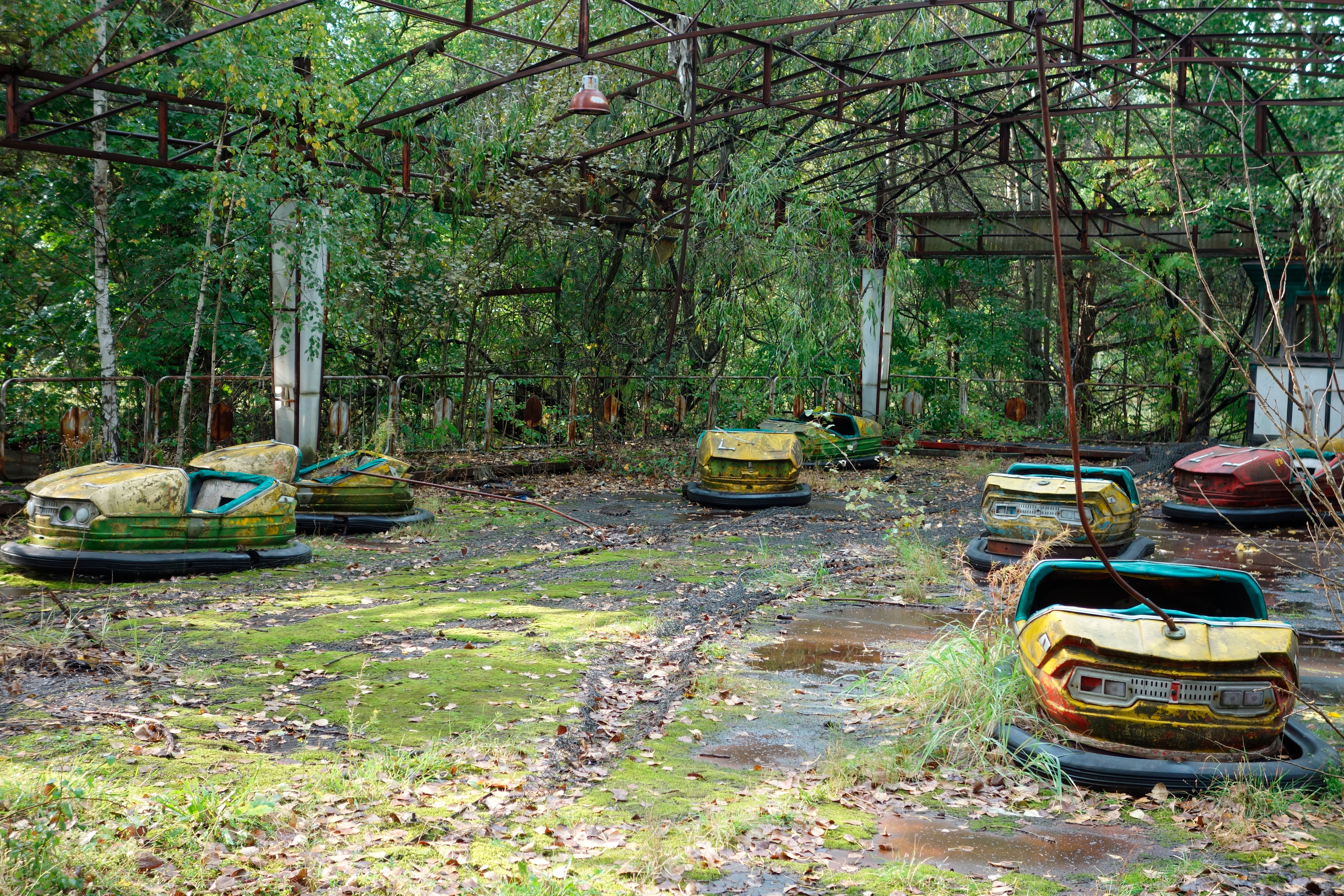A bumper car ride succumbs to decay and vegetation in an abandoned amusement park in Pripyat, Ukraine, Sept. 20, 2017.