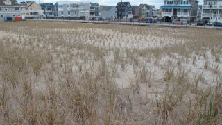 Jersey Shore homes with protective dune