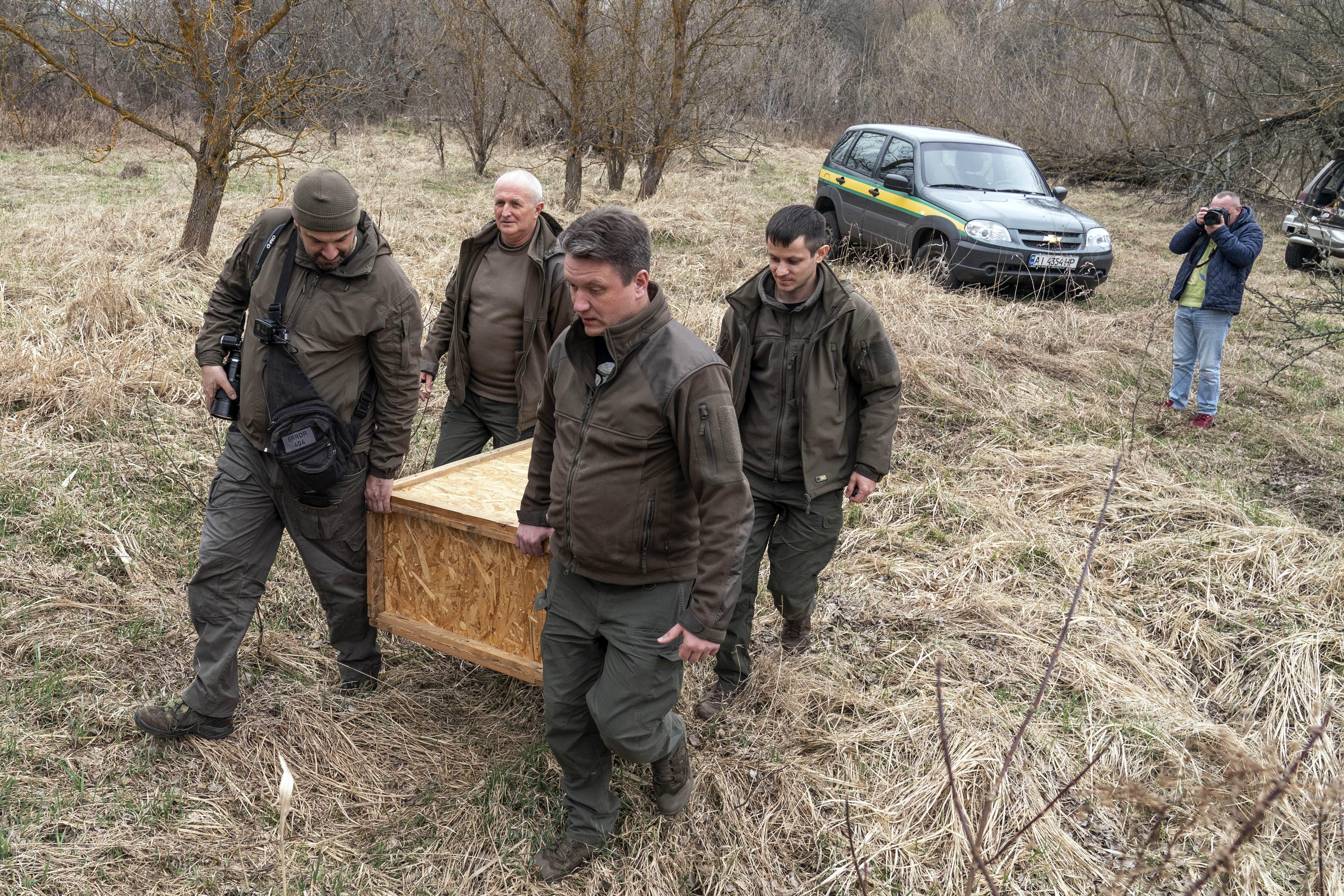 Denis Vishnevskiy, chief of the Chernobyl Radiation and Ecological Biosphere Reserve, and his colleagues carry a box with a beaver preparing to release it into a forest at the Chernobyl exclusion zone, Ukraine, April 13, 2021. To the surprise of many who expected the area might be a dead zone for centuries, wildlife is thriving: bears, bison, wolves, lynx, wild horses and dozens of bird species.