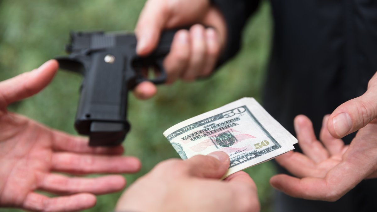 Private Firearm Sales, Transfers Emerge as Obstacle to Senate Action on ...