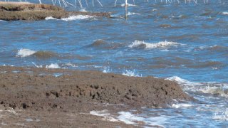 This March 30, 2021, photo shows waves eroding the shorefront in Little Egg Harbor Township, N.J. The state is studying its shorelines to compile a list of future coastal protection projects that could also help reduce New Jersey's contribution to climate change.