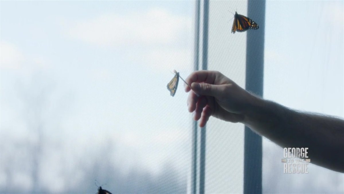 Full Show Dedicated Science Teacher Receives a Stunning Workspace