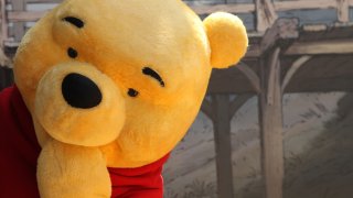 Winnie The Pooh