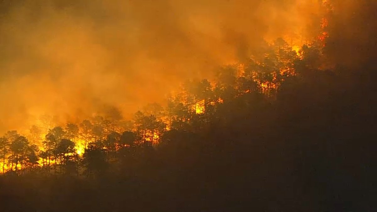 Wildfire Burns 407 Acres at Brendan T Byrne State Forest in Pemberton