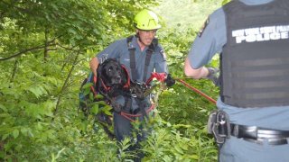 Police retrieve a dog that fell into a gorge in Letchworth State Park.