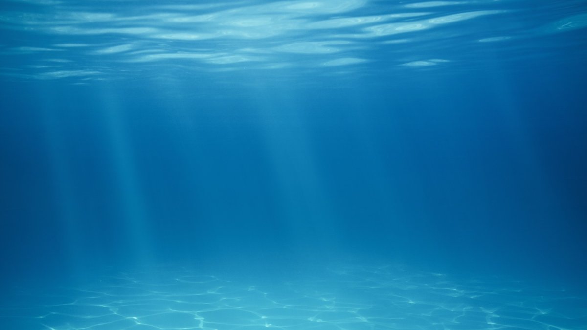 Nanuet Drowning Toddler Dies in Tennyson Drive Pool NBC New York