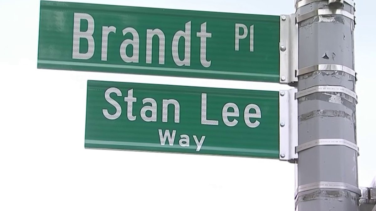 Bronx Street Renamed 'Stan Lee Way' in Honor of Comic Book Legend – NBC New  York