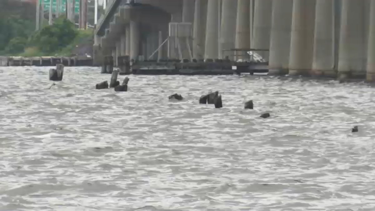 Corey Molinari, 19, of Whippany, NJ, Dies in Boating Crash in Barnegat