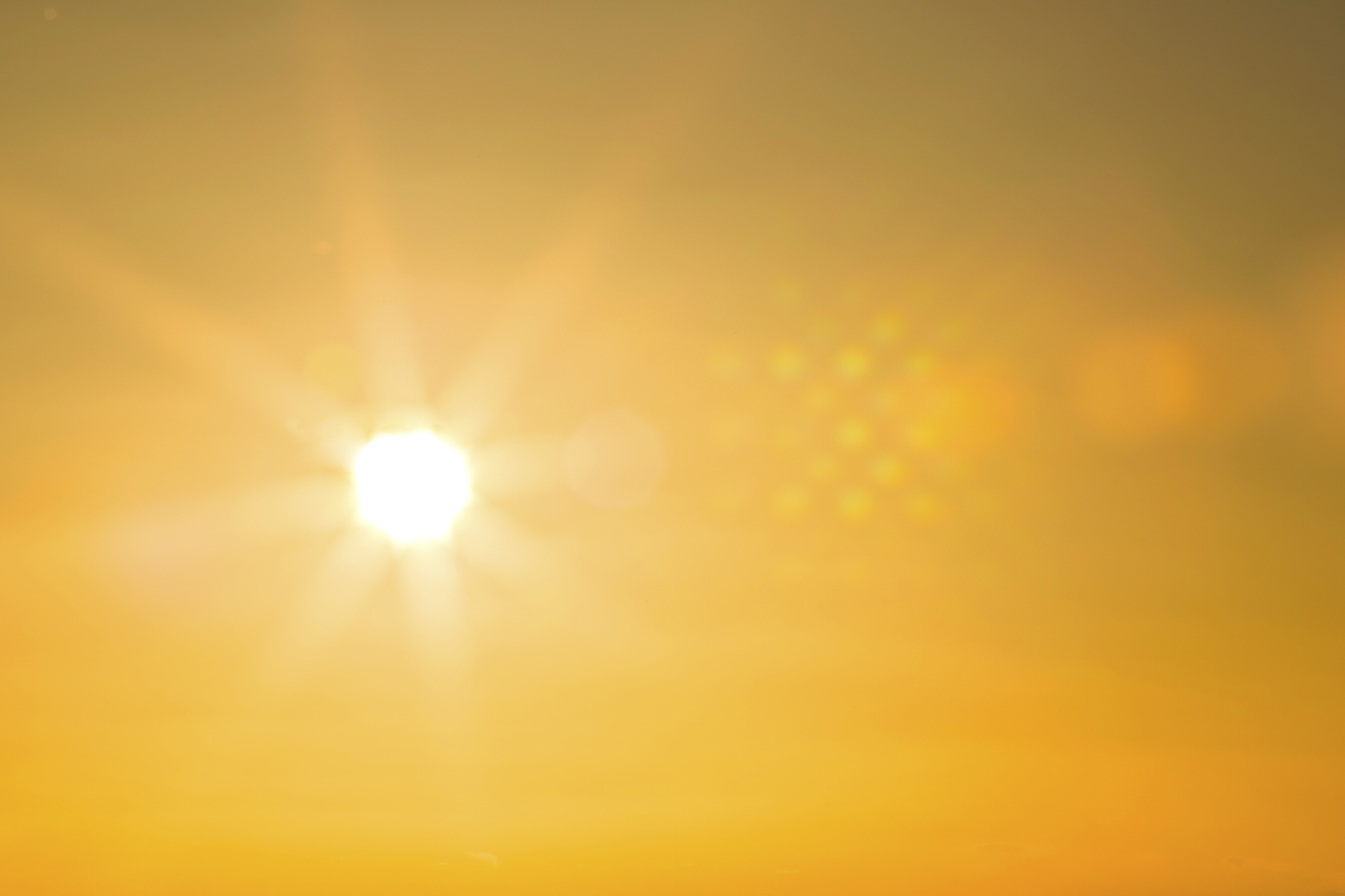 July Was Earth’s Hottest Month on Record, NOAA Says NBC New York