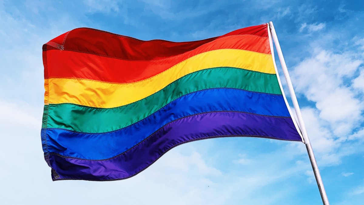 What You Don T Know About The Iconic Rainbow Flag And Other Lgbtq Flags Nbc New York