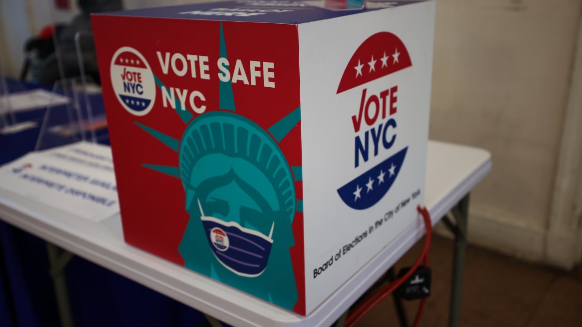NYC Board of Elections Faces Another Test With Borough President, City