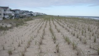 The Beach On Long Beach Island