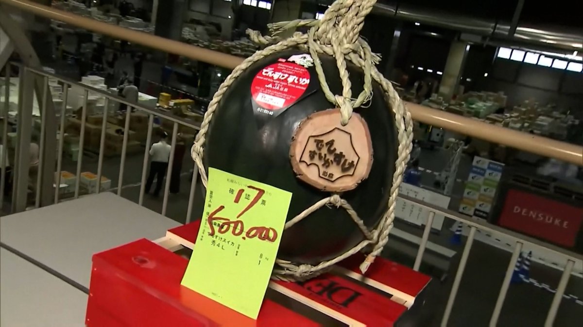 Japan Holds First Premium Watermelon Auctions of the Season NBC New York