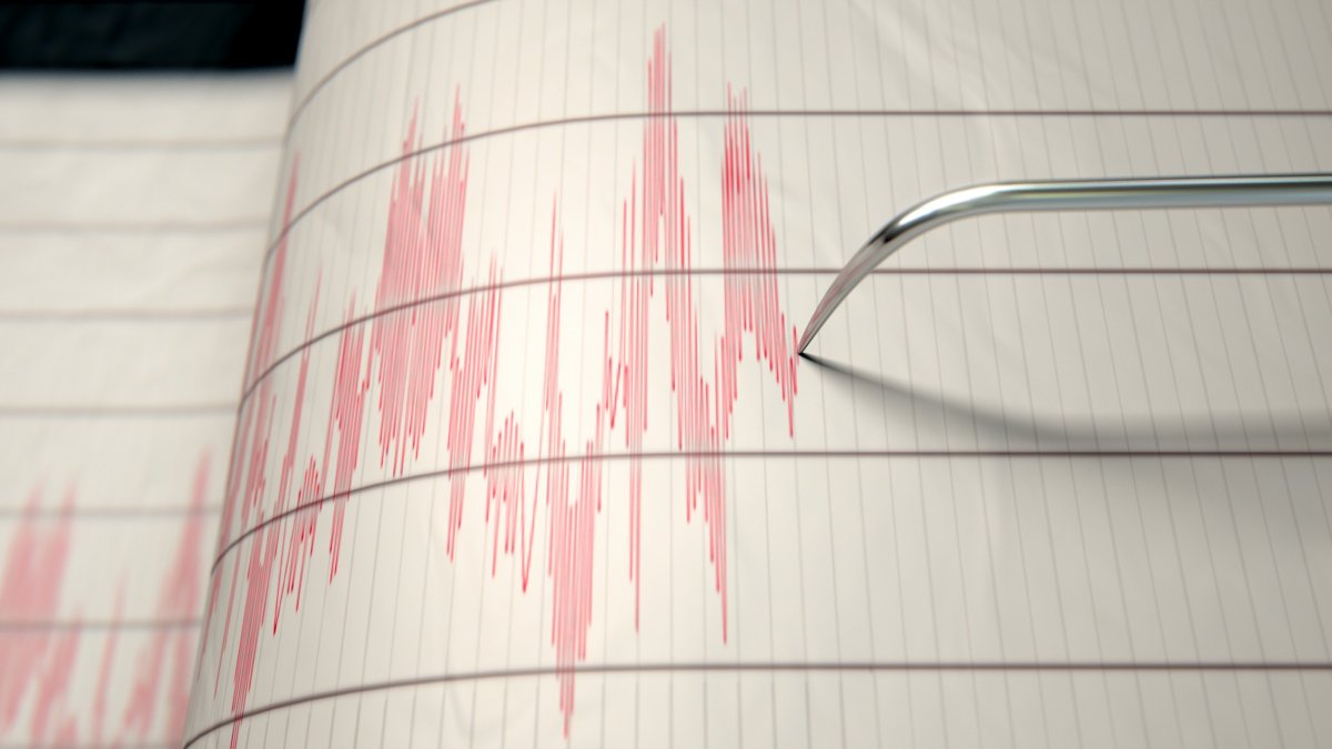 Small Earthquake of Magnitude 30 Hits New York Area No Damage Reported