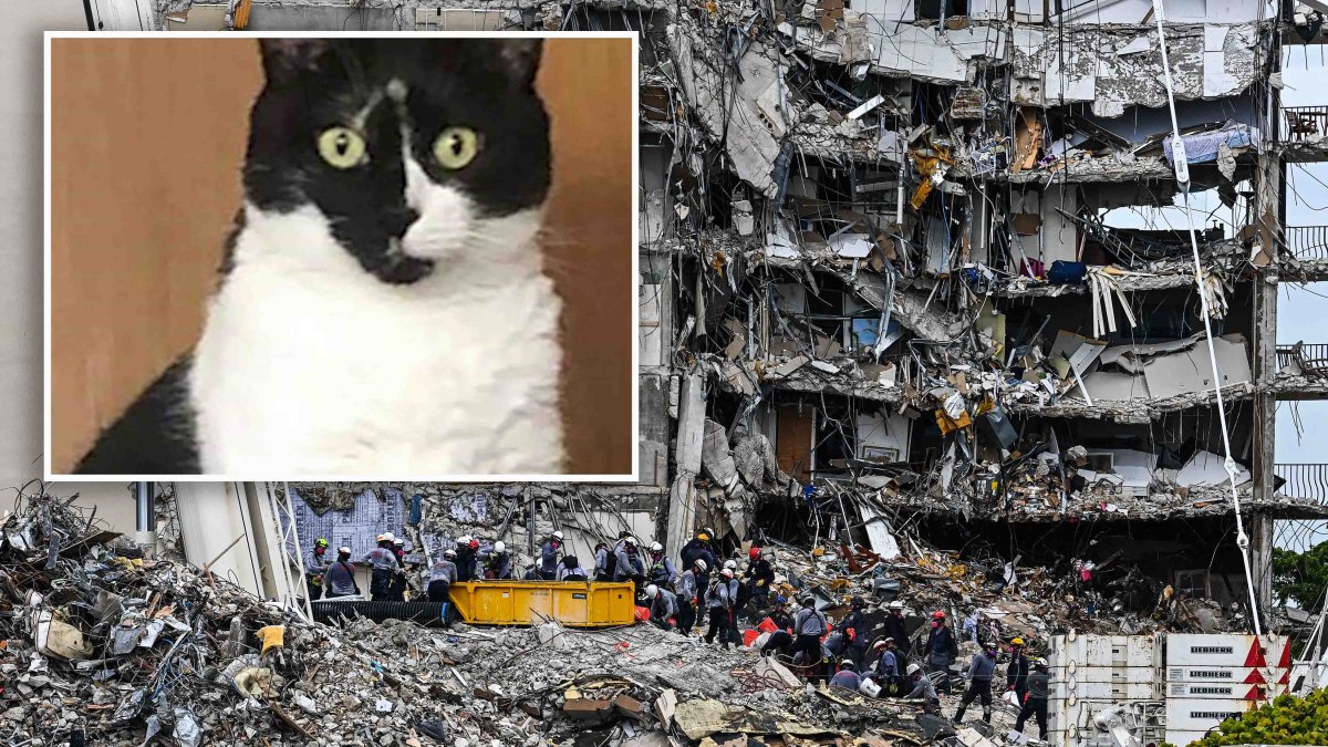 Crews Unable to Find Pets in Collapsed Surfside Condo – NBC New York