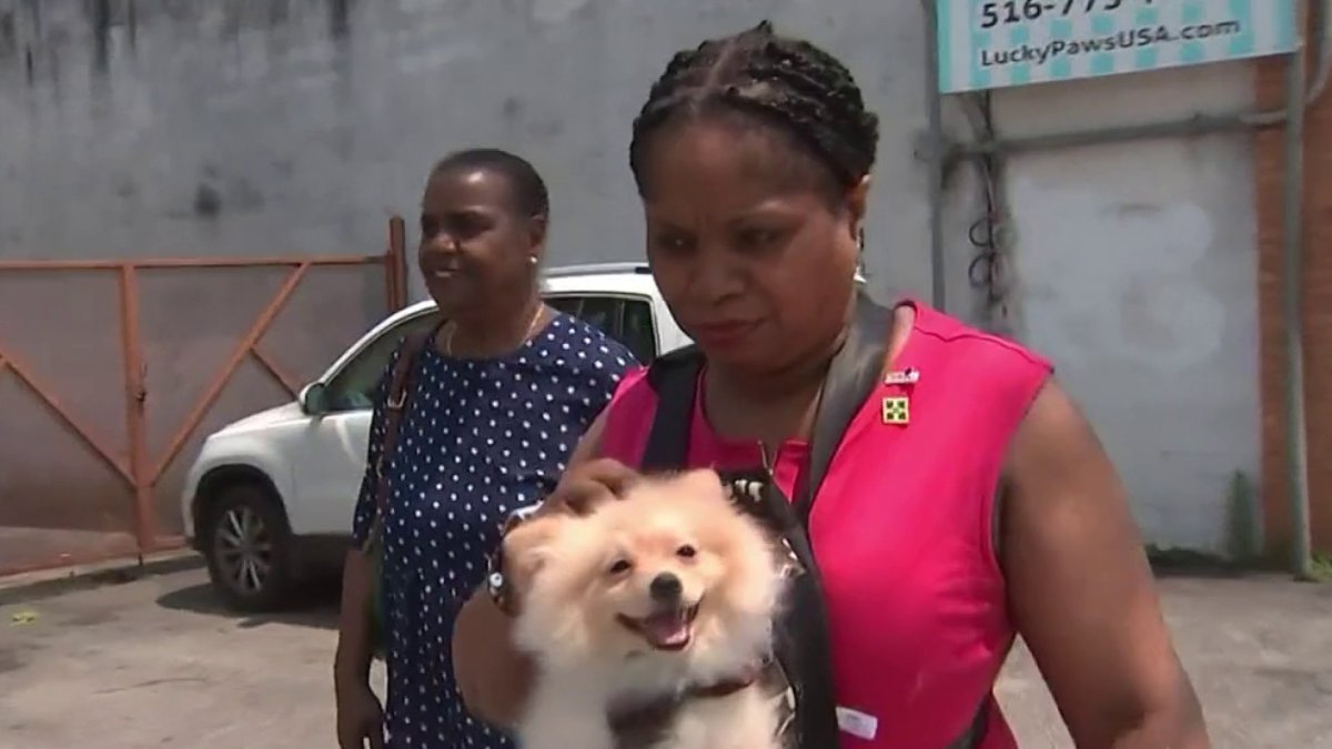 Long Island Pet Store Helps Ease Pain of Veteran Who Lost Her Dog NBC