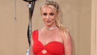 Britney Spears' Ex Convicted in Wedding Trespass Case