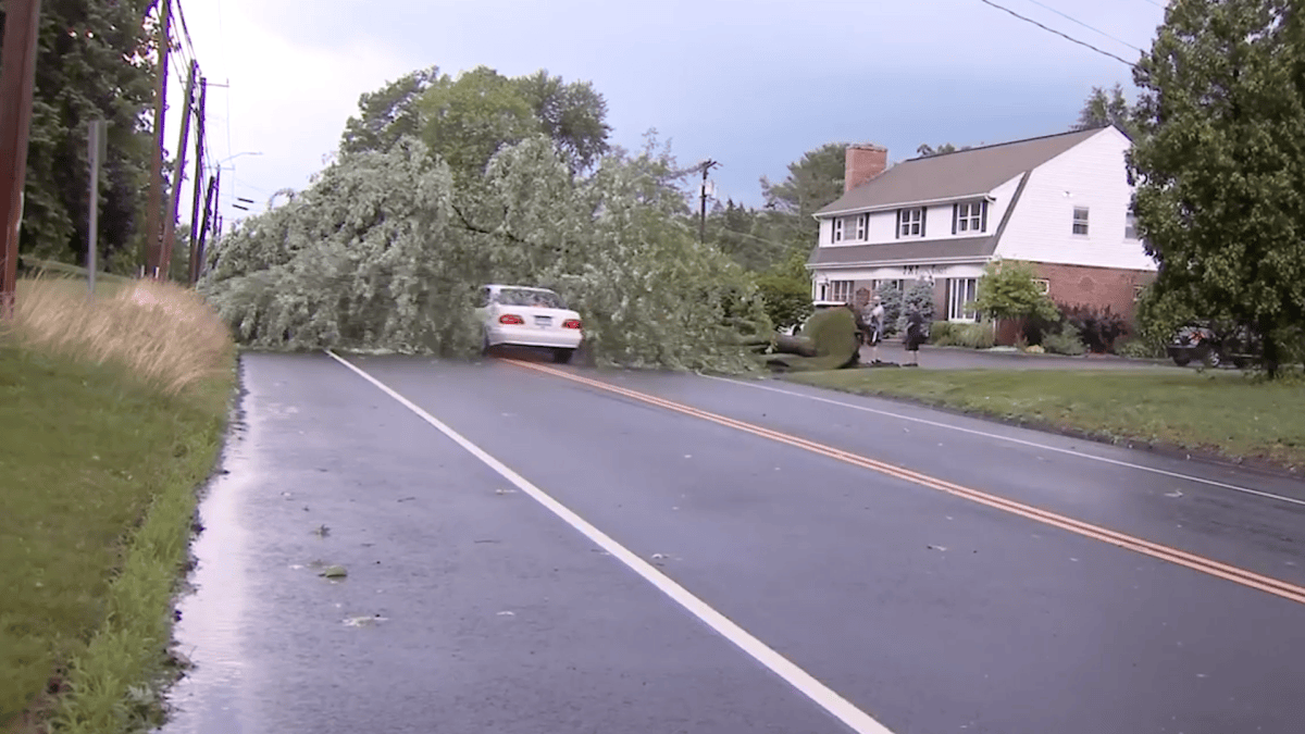 WATCH: Car Crashes Into Tree in Middle of Road – NBC New York