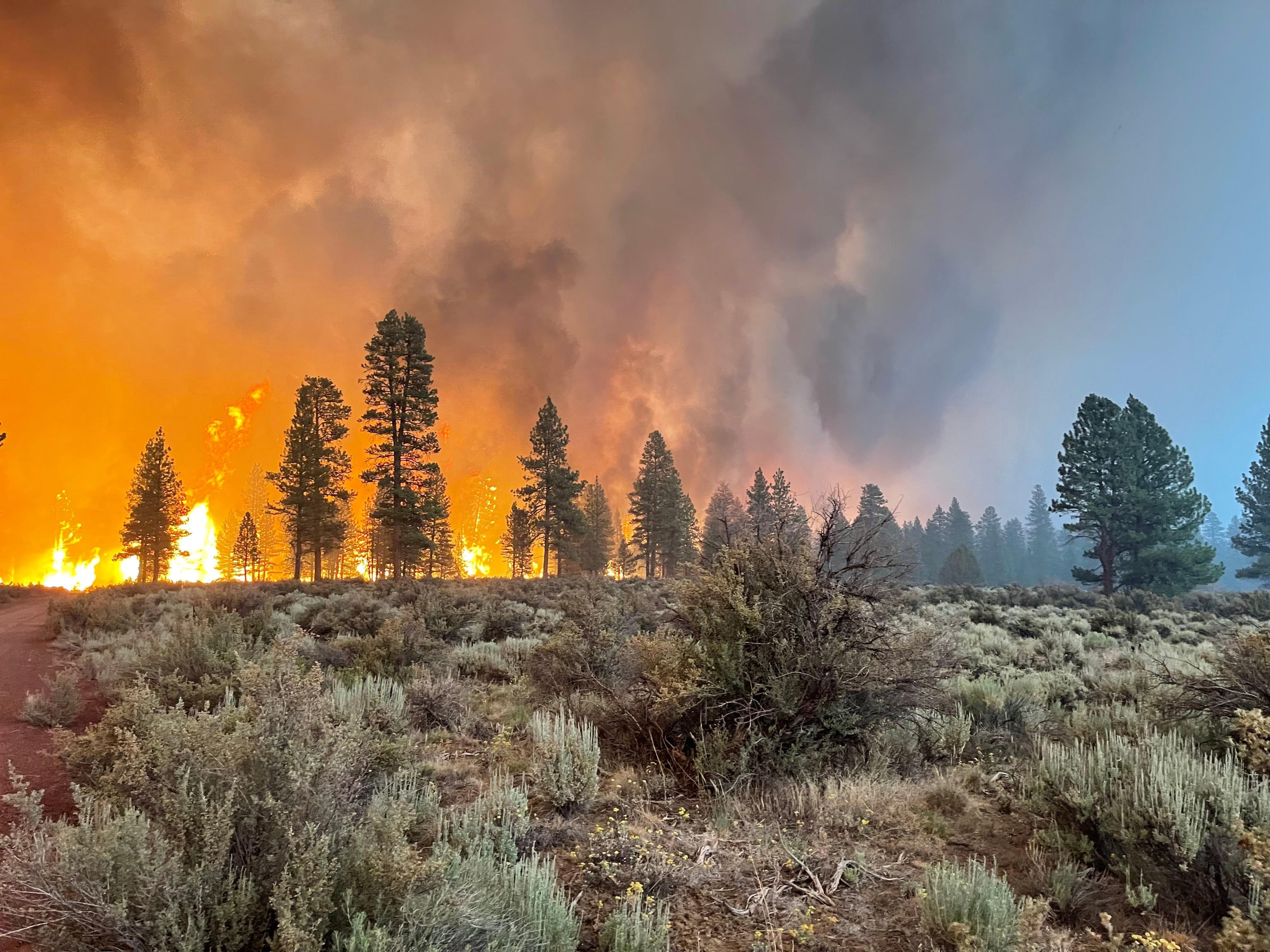 Western Wildfires Still Growing, But Better Weather Helps Crews Make Progress - Vimarsana News