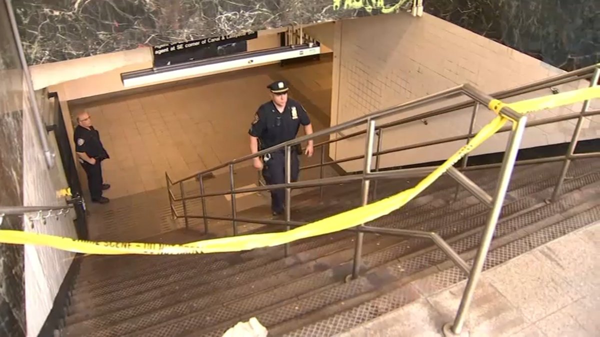 Cops Arrest Man in NYC Mom’s Subway Stair Death Plunge NBC New York
