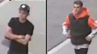 central park suspects