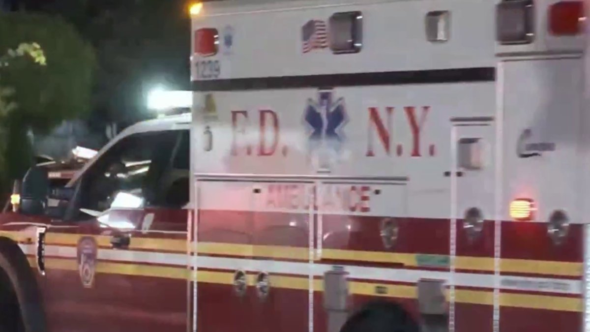 19-Month-Old Boy Killed in Attack by Family Dog in Brooklyn – NBC New York