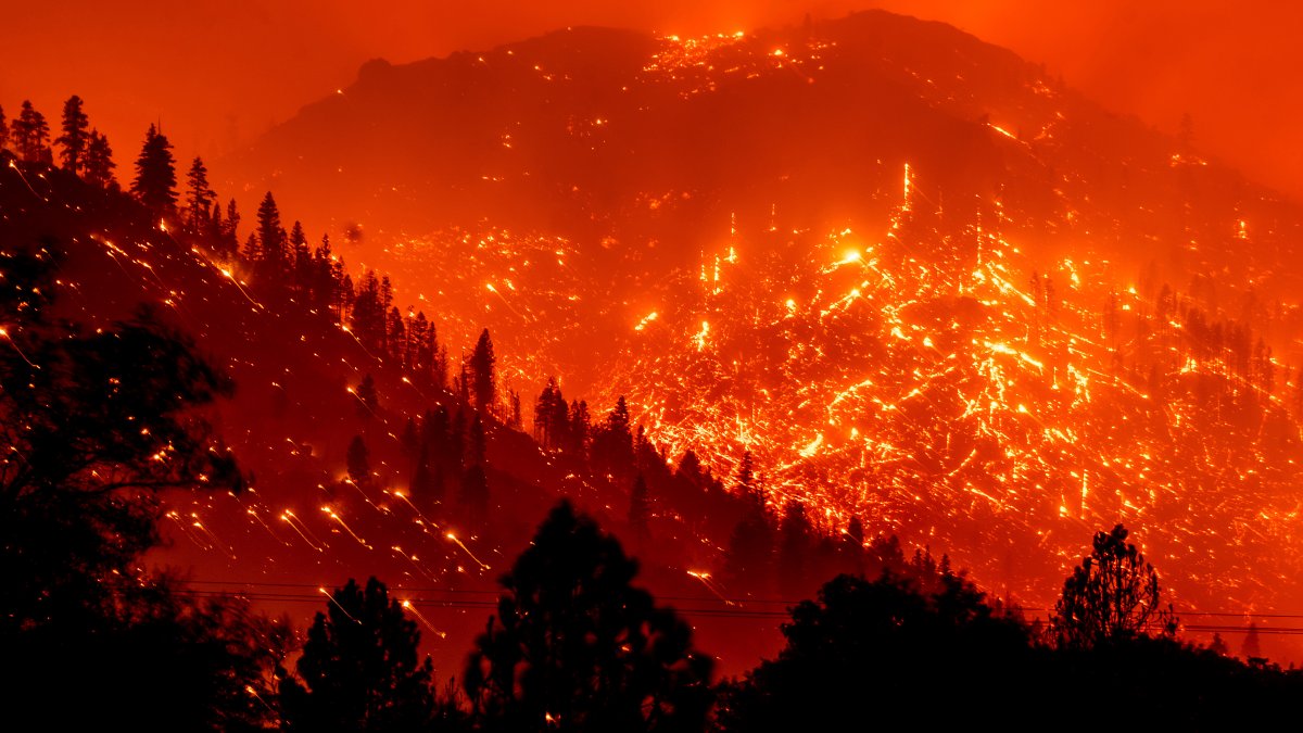 Calif. Wildfires Are Setting Records, and More Damage Is Expected – NBC New York - Vimarsana News