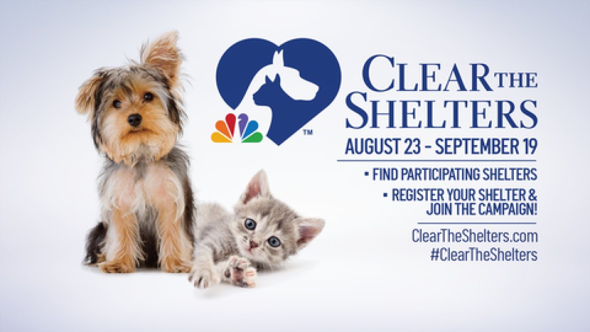 Clear the Shelters Returns! Help Pets Find Forever Homes Aug. 23 ...