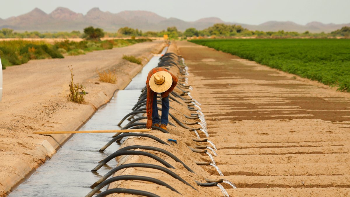 First Required Water Supply Cuts in US West to Hit Ariz. Farmers – NBC New York - Vimarsana News