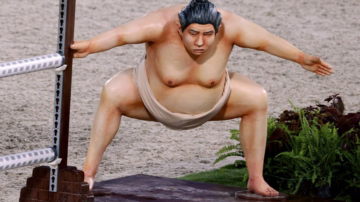 Sumo Wrestler Removed from Equestrian Course for Team Event – NBC New York