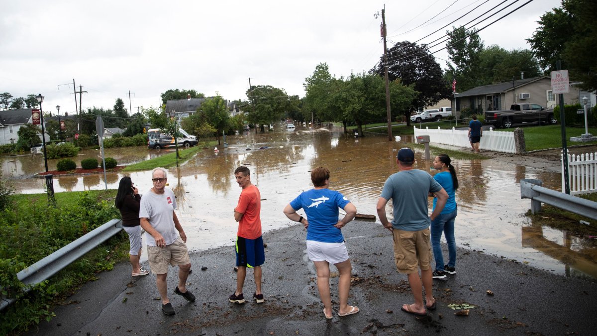 Rain Totals From Henri See NJ, NY Latest Numbers NBC New York