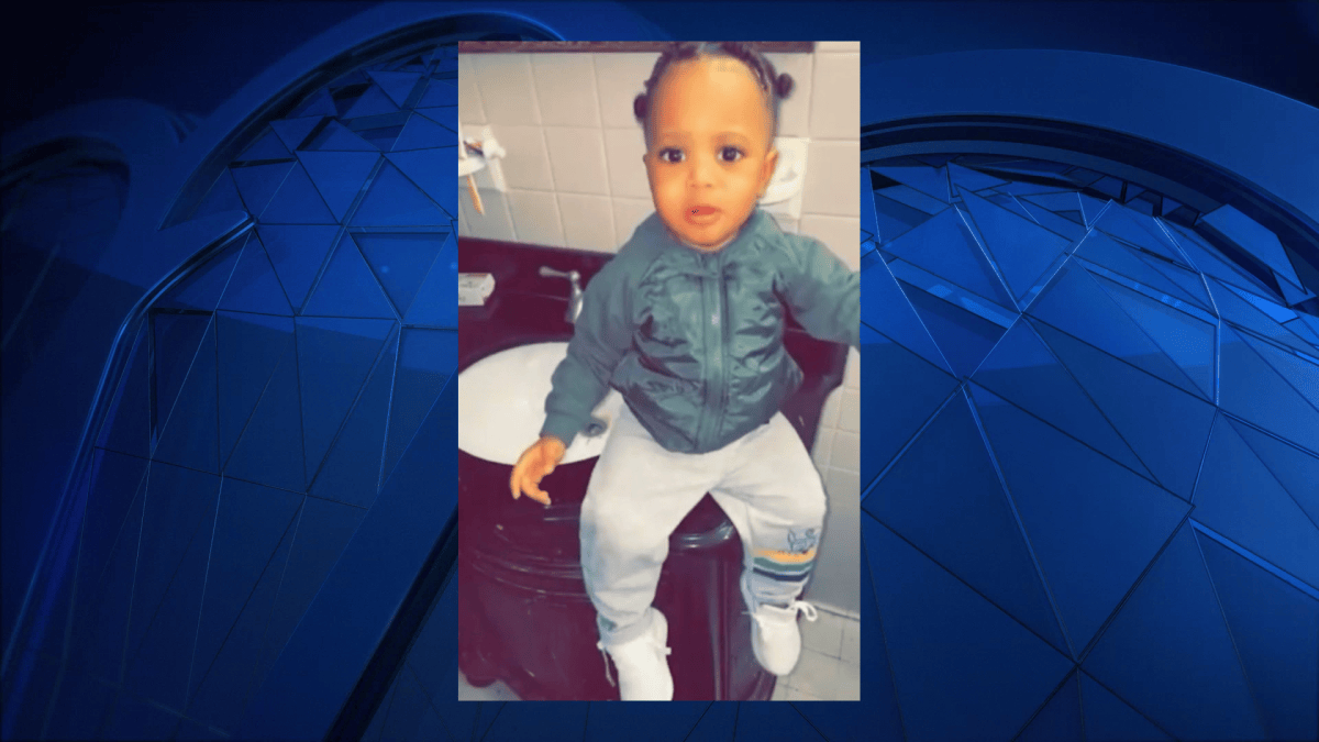 Dog Mauls NYC Toddler to Death, Charges Pending – NBC New York