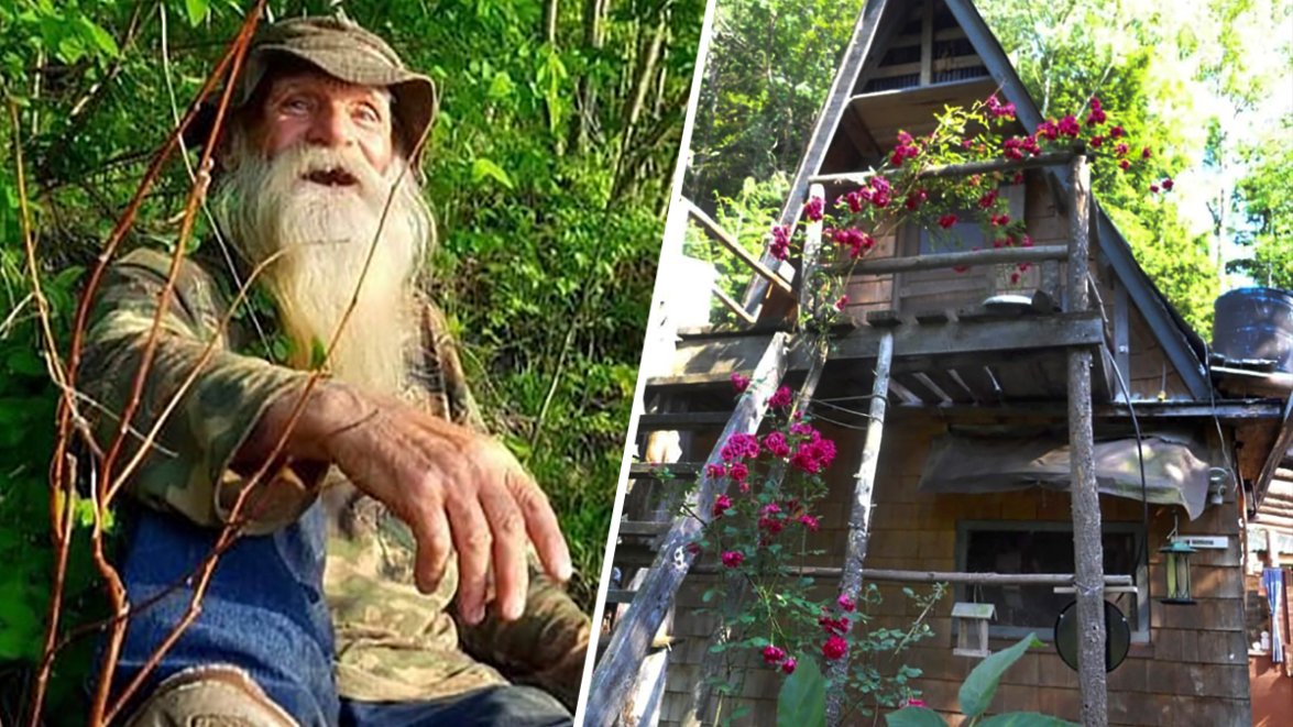 After Decades In Woods New Hampshire Man Forced From Cabin NBC New York After Decades In Woods New Hampshire Man Forced From Cabin NBC New York
