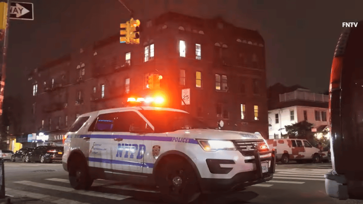 19-Month-Old Boy Dies After Being Attacked by Family Dog in Brooklyn ...