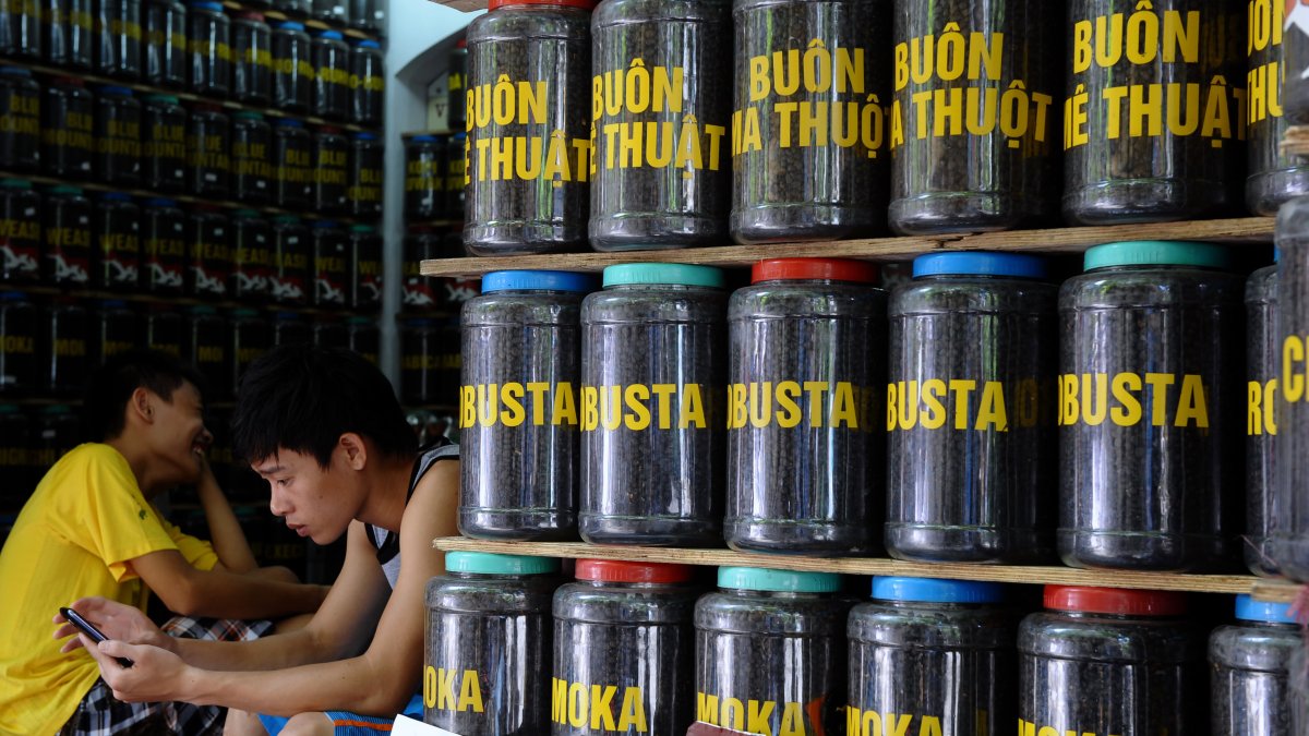 Covid Lockdown in Vietnam Could Keep Coffee Prices 'Relatively High' Through 2022 – NBC New York - Vimarsana News