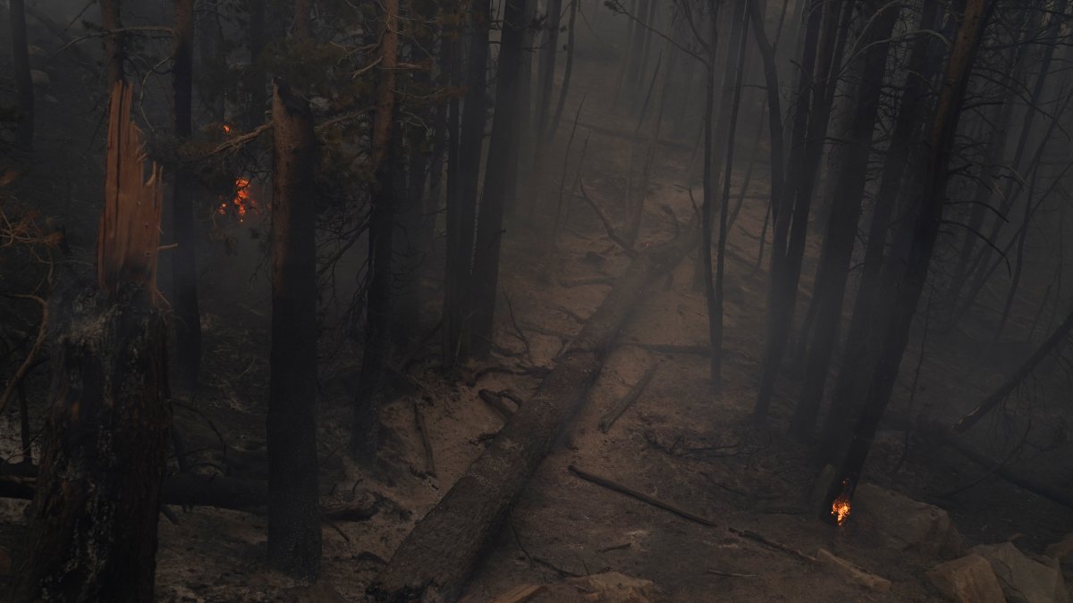 South Lake Tahoe Residents Can Return as Fire Threat Eases - Vimarsana News