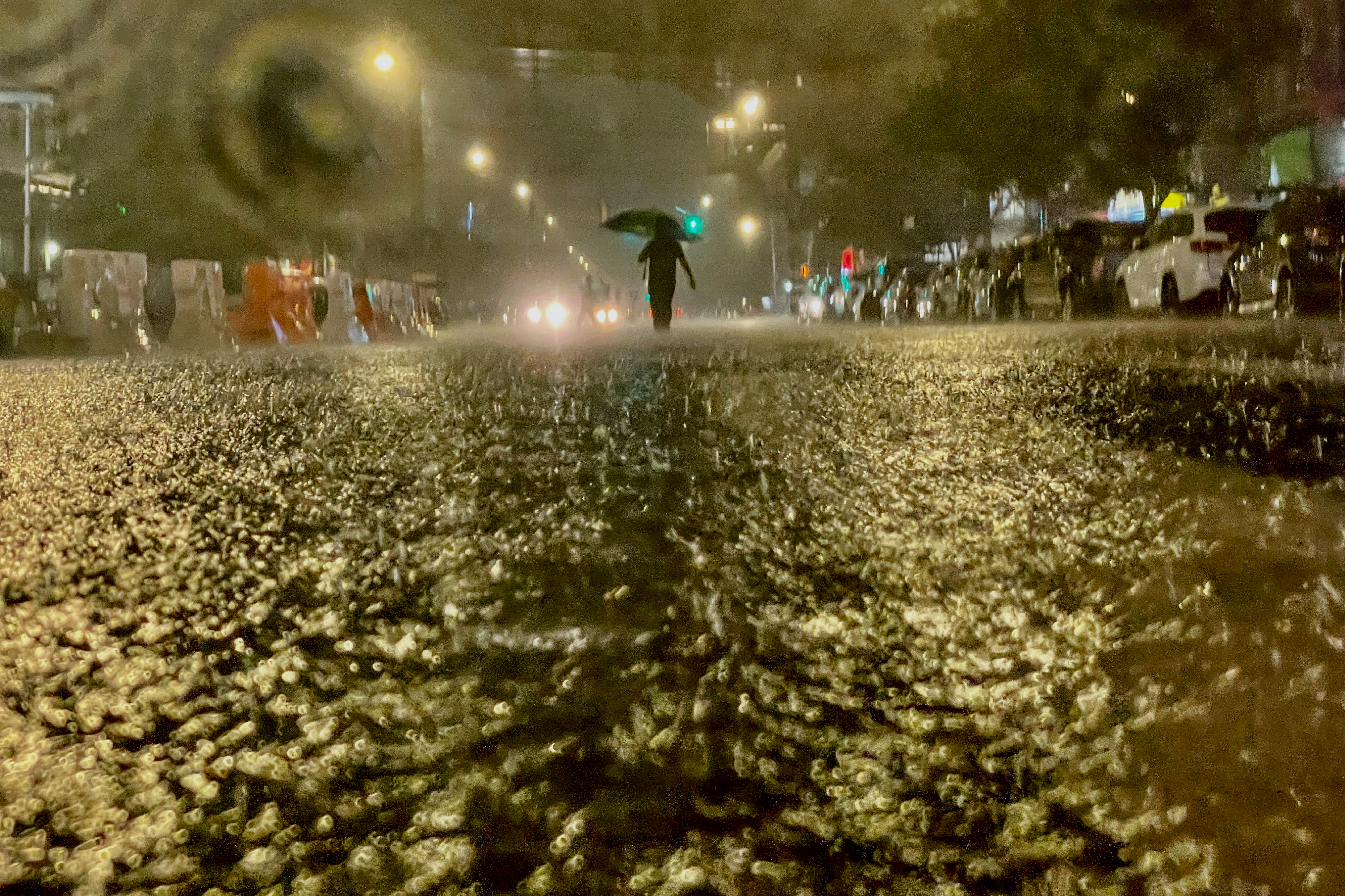 As what was once Hurricane Ida drenched the Tri-State area, a person makes their way down a flooded street in the Bronx. (Photo by David Dee Delgado/Getty Images)