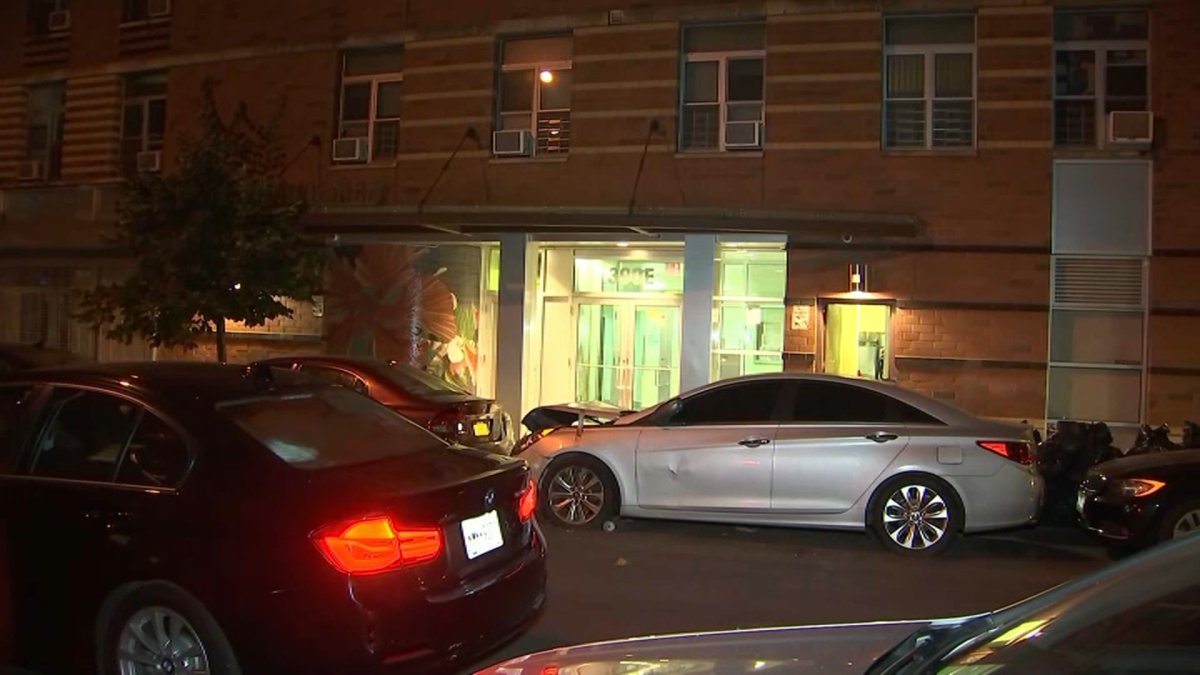 Suspect Charged in Murder of Bronx Woman Found With Rubber Band Around ...