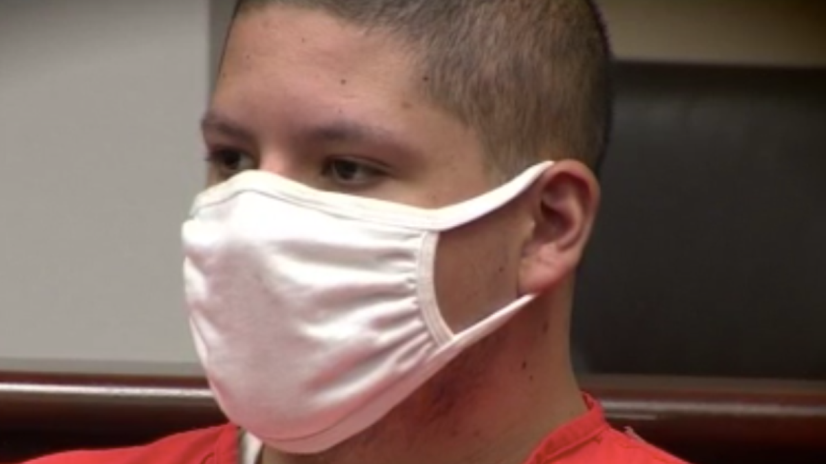 Man Pleads Insanity in Theater Slayings, Saying He Heard Voices NBC