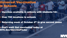universal vaccine schools