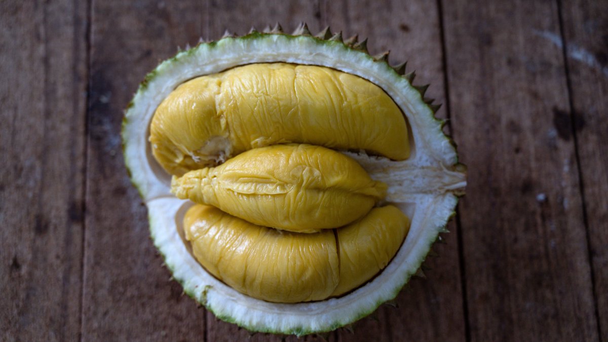 Scientists Turn Durian Waste Into Bandages — and the Internet Has Questions - Vimarsana News