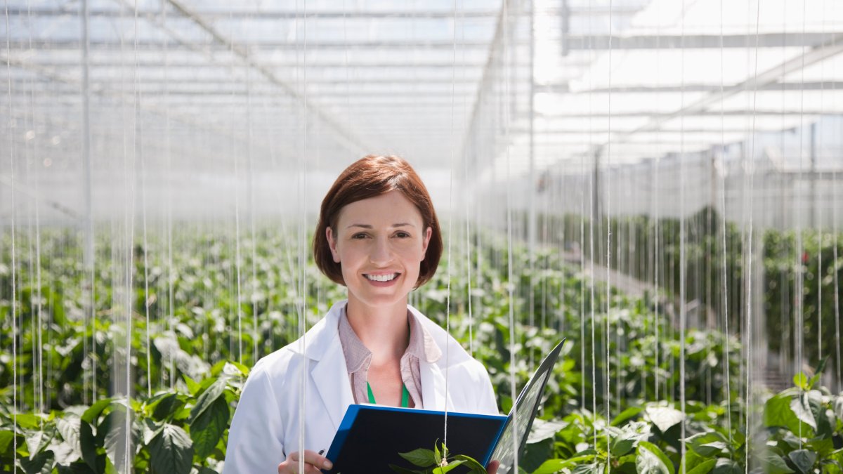 These Are the 6 Fastest-Growing Green Jobs of the Next Decade—and How Much They Pay - Vimarsana News